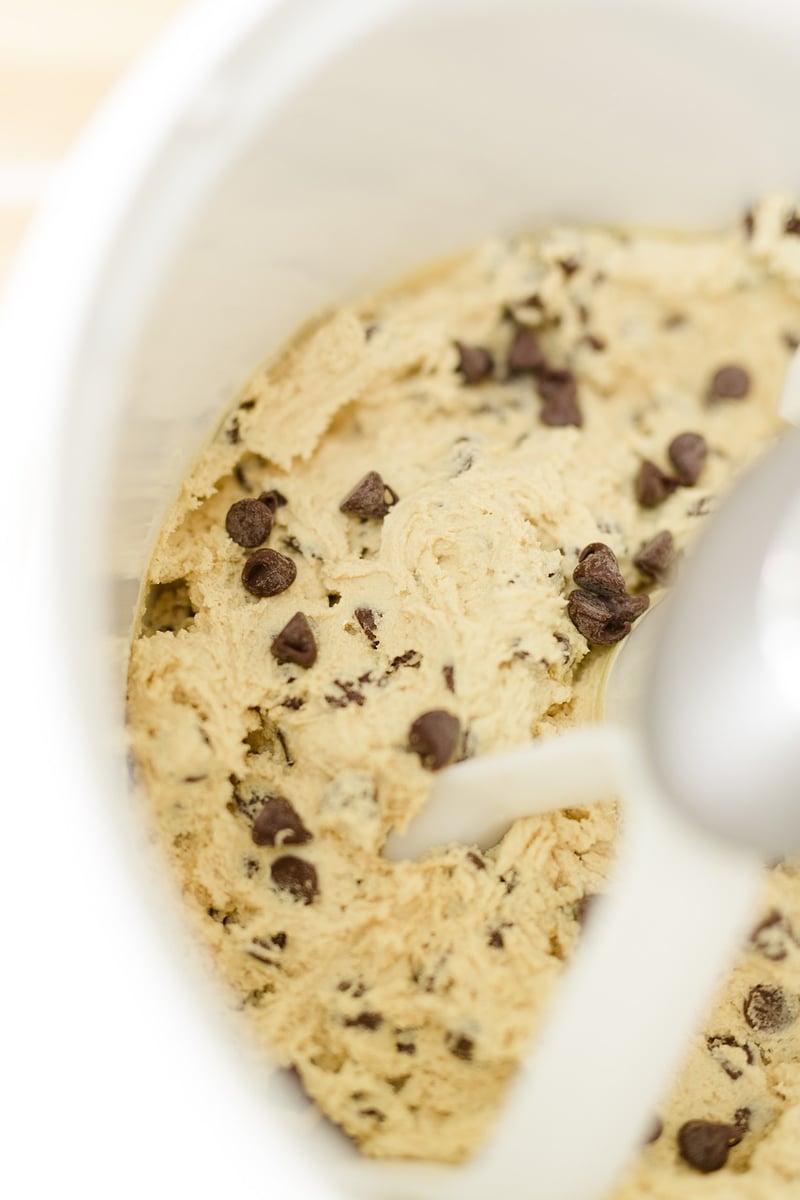 Chocolate Chip Cookie Image